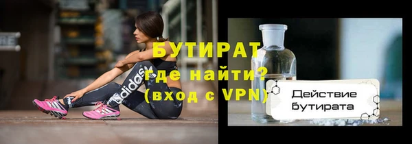 гашик Алексин