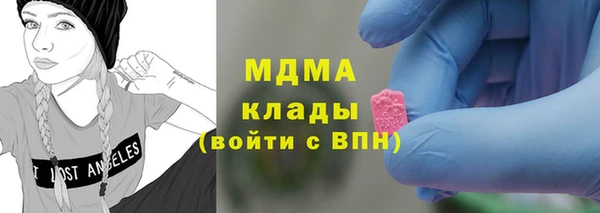 гашик Алексин
