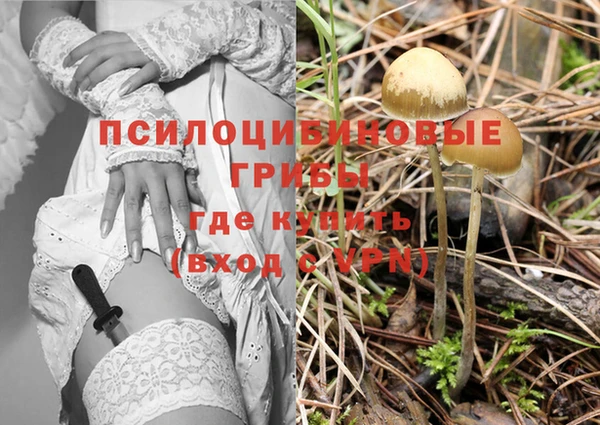 марки nbome Алзамай