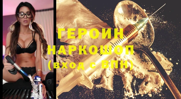 гашик Алексин