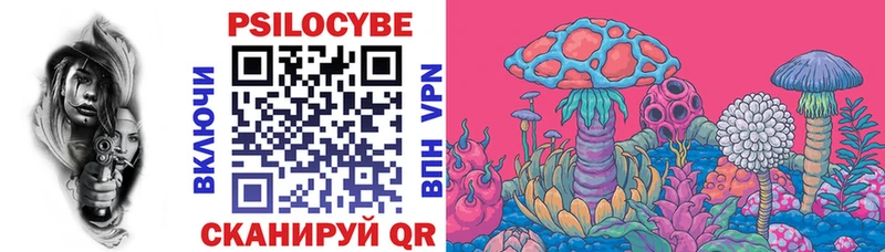кракен как войти  Ревда  Псилоцибиновые грибы Cubensis 